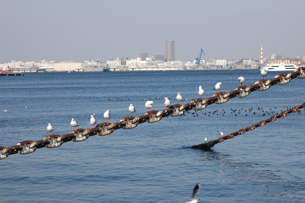 yokohama022.jpg