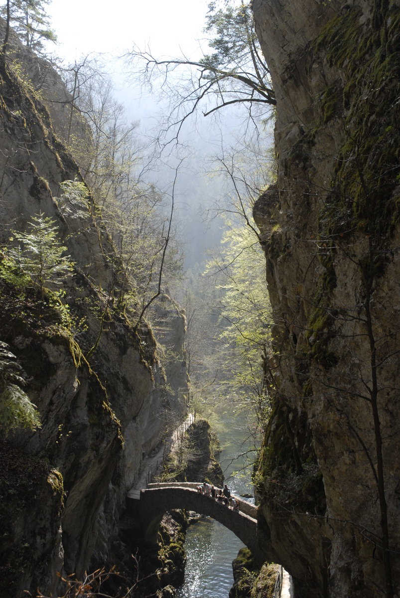 areuse005.jpg