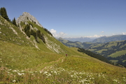 gastlosen013.jpg