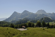 jogne014.jpg