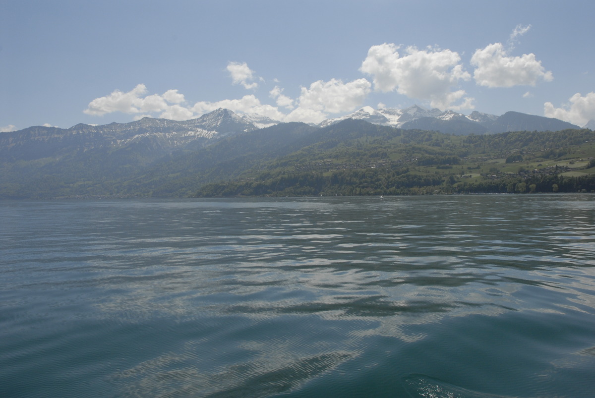 thun004.jpg